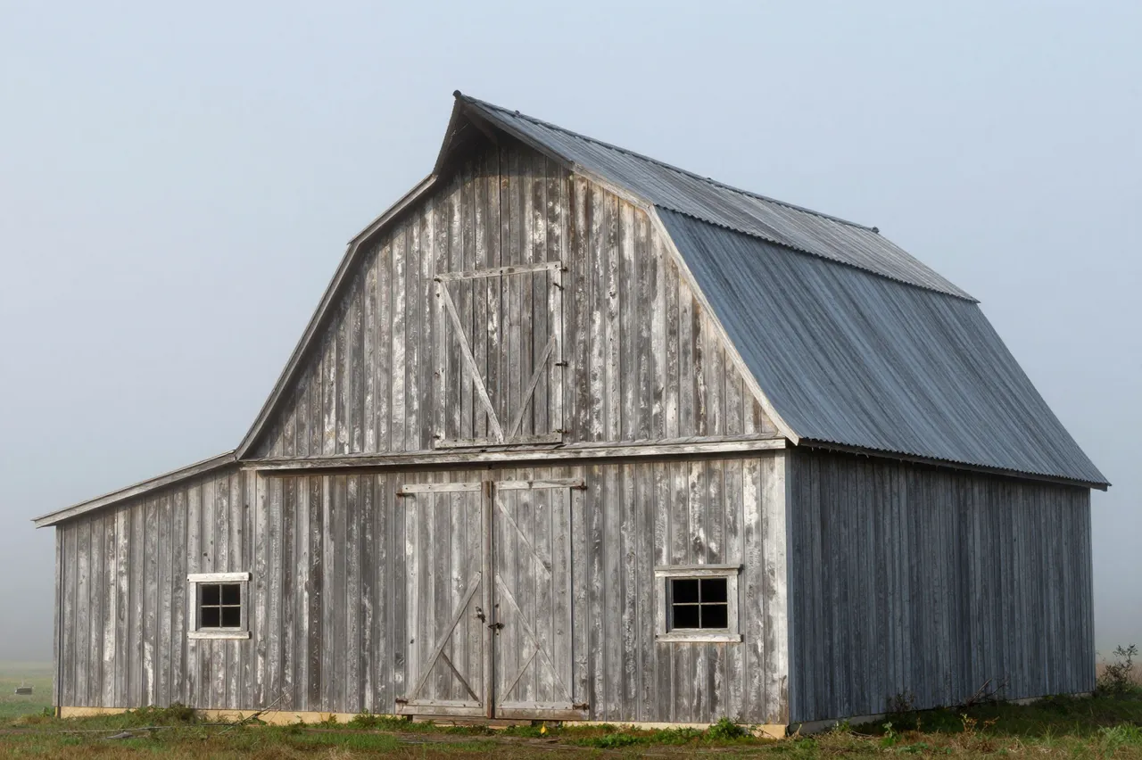 A weathered wooden barn stands in a rural field under soft, hazy morning fog.