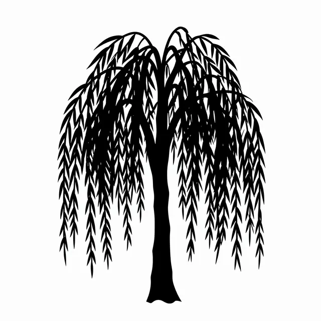 Solid black weeping willow silhouette with drooping branches on a plain white background