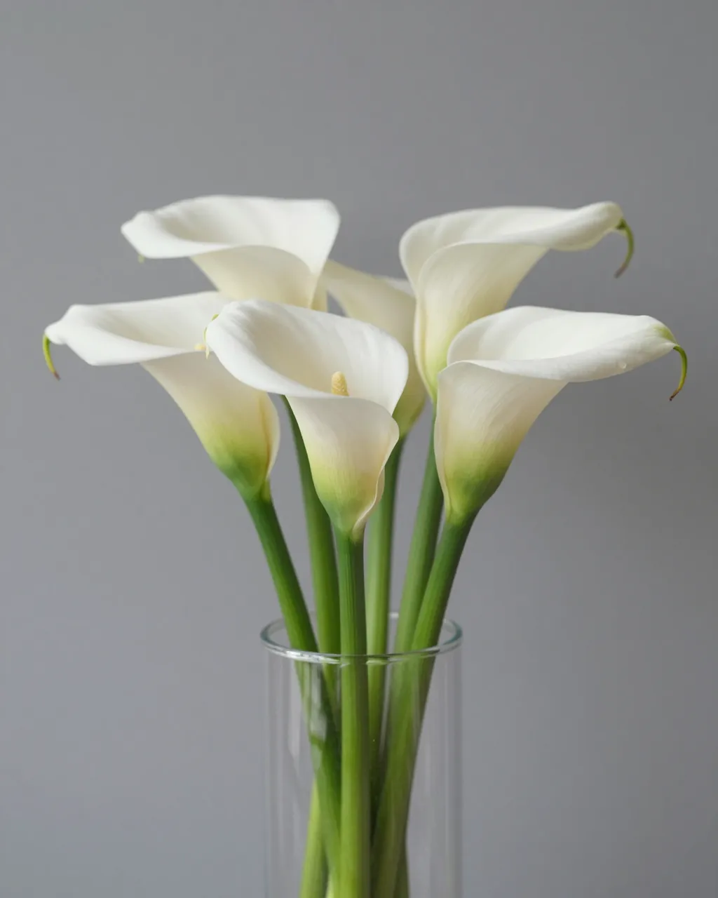 Bouquet of white calla lilies arranged in a clear glass vase against a plain gray background