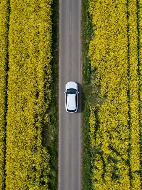 A top-down aerial view of a single white car parked on a straight narrow road flanked by bright yellow rapeseed fields