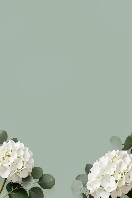 White hydrangea blooms and eucalyptus leaves sit in the bottom corners of a soft sage green background with empty copy space
