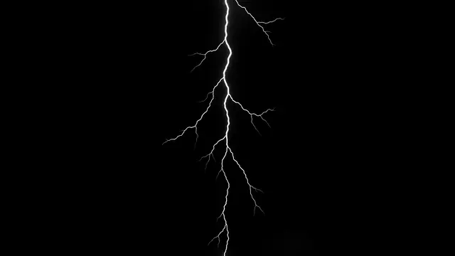 Thin branching white lightning extends vertically against a solid pure black background