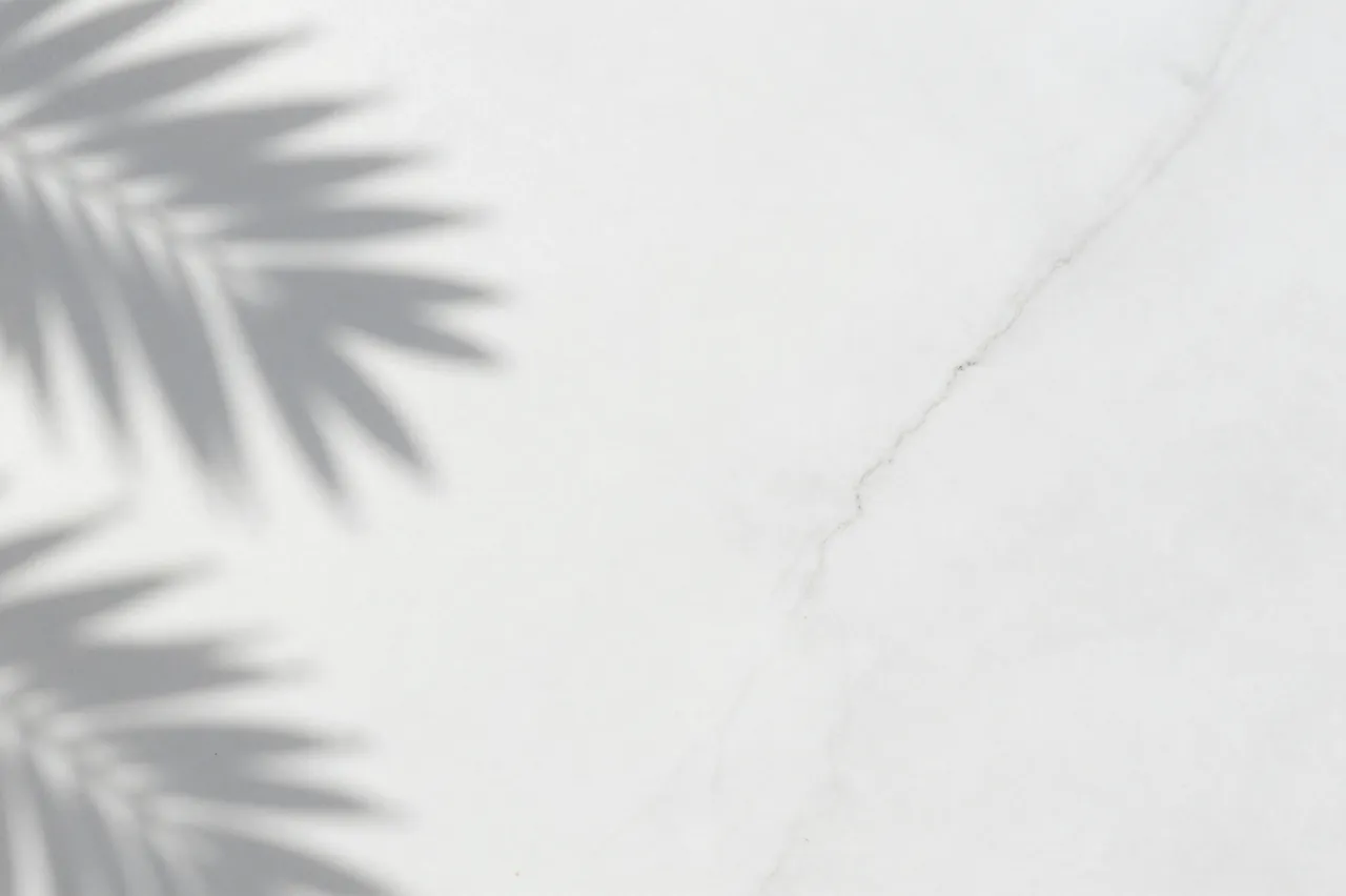 Soft blurred palm leaf shadows fall across a white marble slab with natural veining and empty copy space.