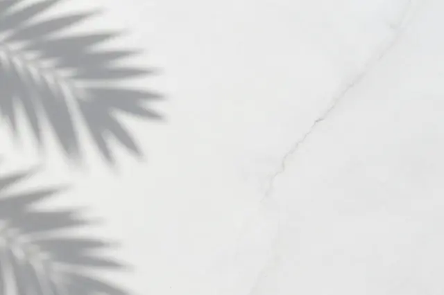 Soft blurred palm leaf shadows fall across a white marble slab with natural veining and empty copy space.