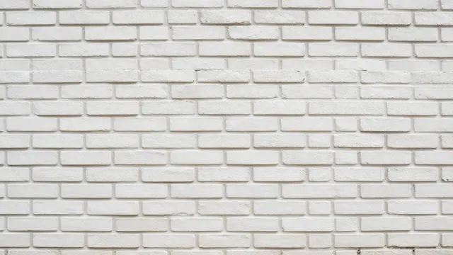 A full frame view of a smooth white painted brick wall with uniform mortar lines and soft even lighting.
