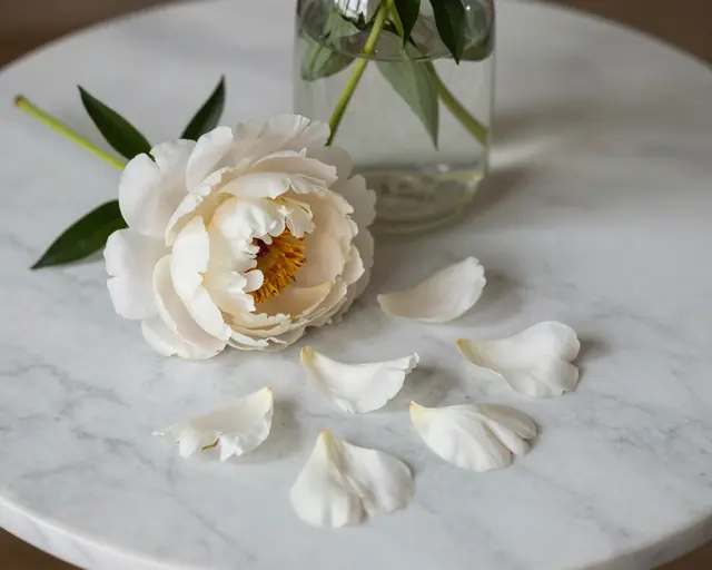 A fallen white peony and scattered petals sit on a marble table next to a glass vase.