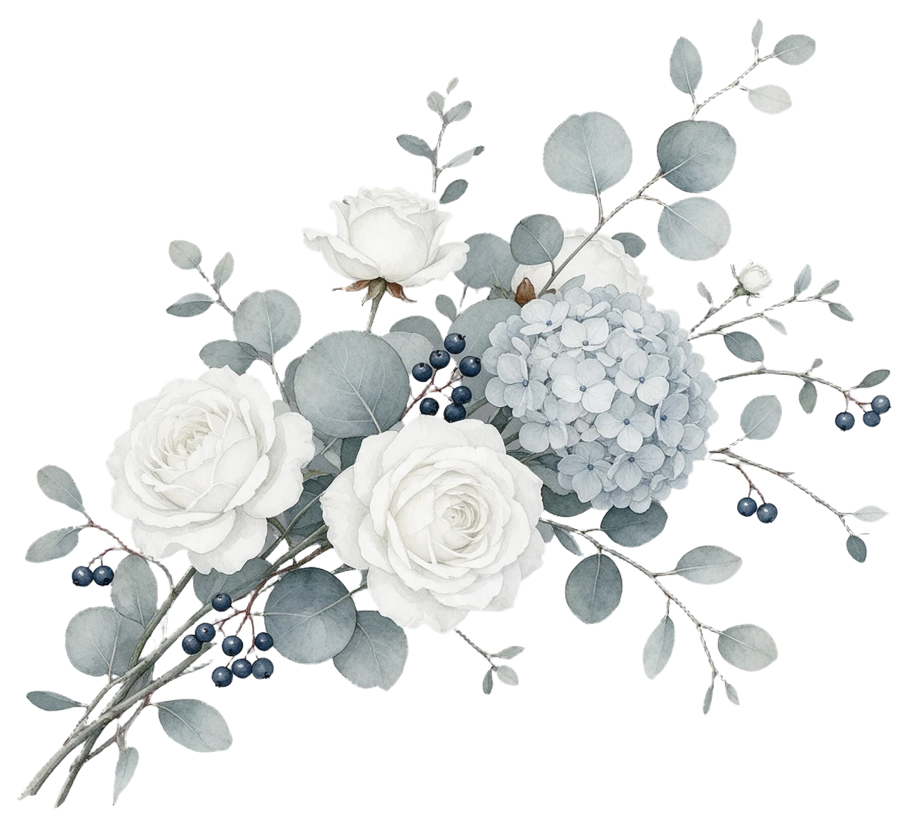 Delicate watercolor arrangement of white garden roses, dusty blue hydrangea, eucalyptus leaves and navy berries