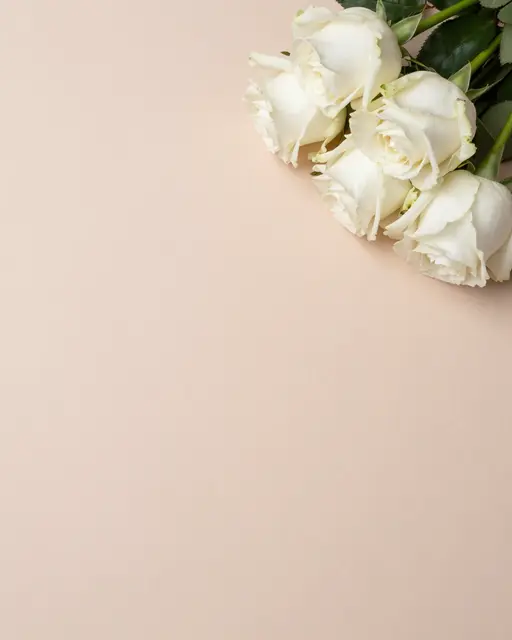 A cluster of white roses rests in the top right corner of a plain blush backdrop with empty copy space.