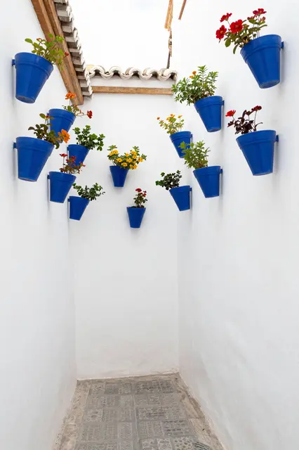 Narrow white plaster alley lined with bright blue wall-mounted flower pots holding colorful blooms