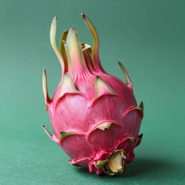 A whole ripe pink dragon fruit rests against a solid muted green background.
