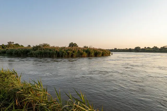 Calm slow river lined with tall reeds under a soft gradient sunset sky