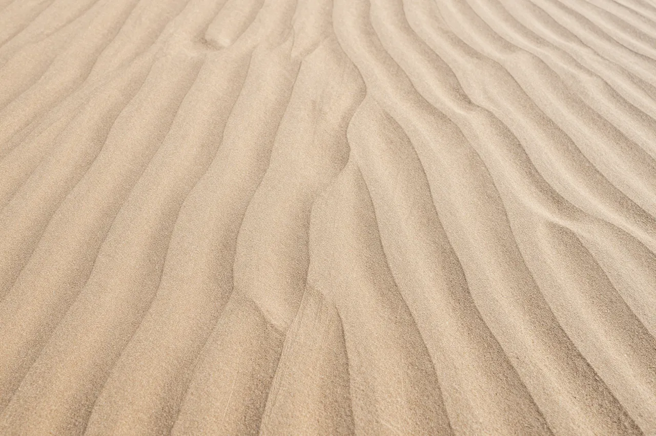 Close-up view of fine light beach sand with smooth undulating wind-formed ripples across the surface