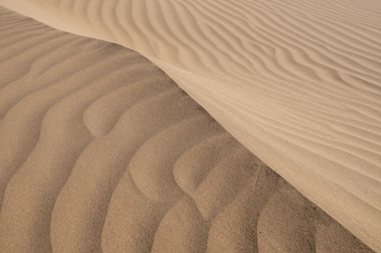 Close-up of a sharp sand ridge showing rippled wind patterns and contrasting sunlit and shaded sand
