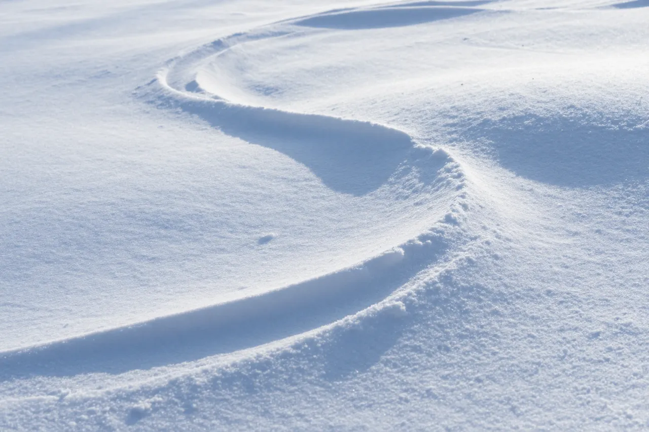 Smooth wind-carved drifts of snow curve across a bright sunlit winter surface with soft blue shadows.