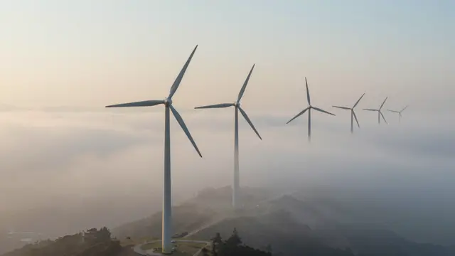 Row of wind turbine towers rising above low valley fog during soft sunrise