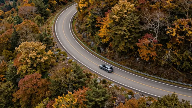 Aerial view of a silver car driving along a winding paved road through colorful autumn forest