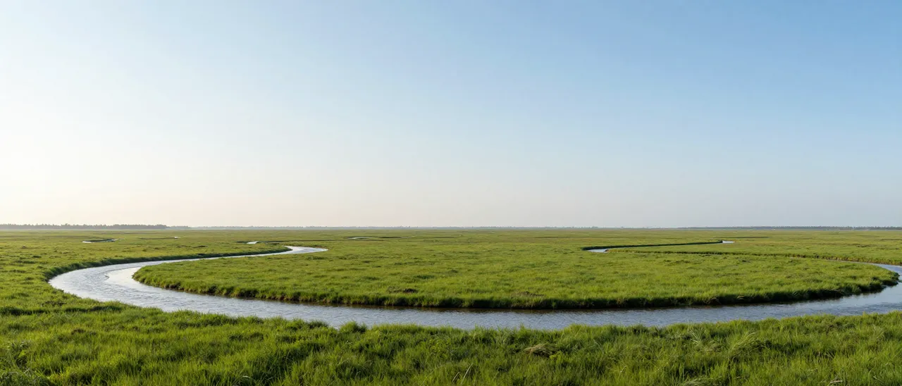 A wide flat green marsh with meandering silver waterways beneath a clear pale blue morning sky