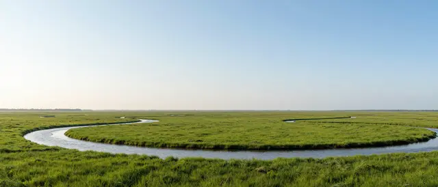 A wide flat green marsh with meandering silver waterways beneath a clear pale blue morning sky