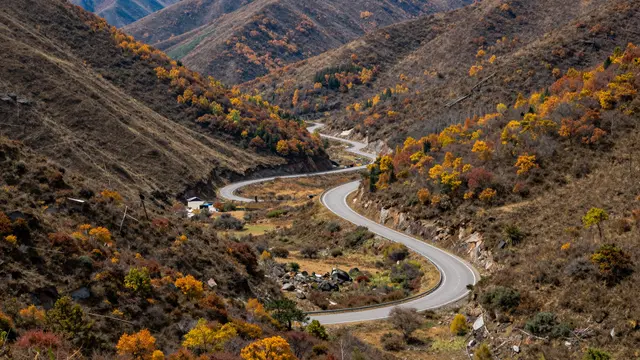 A winding paved road curves through a steep mountain valley lined with vibrant autumn foliage