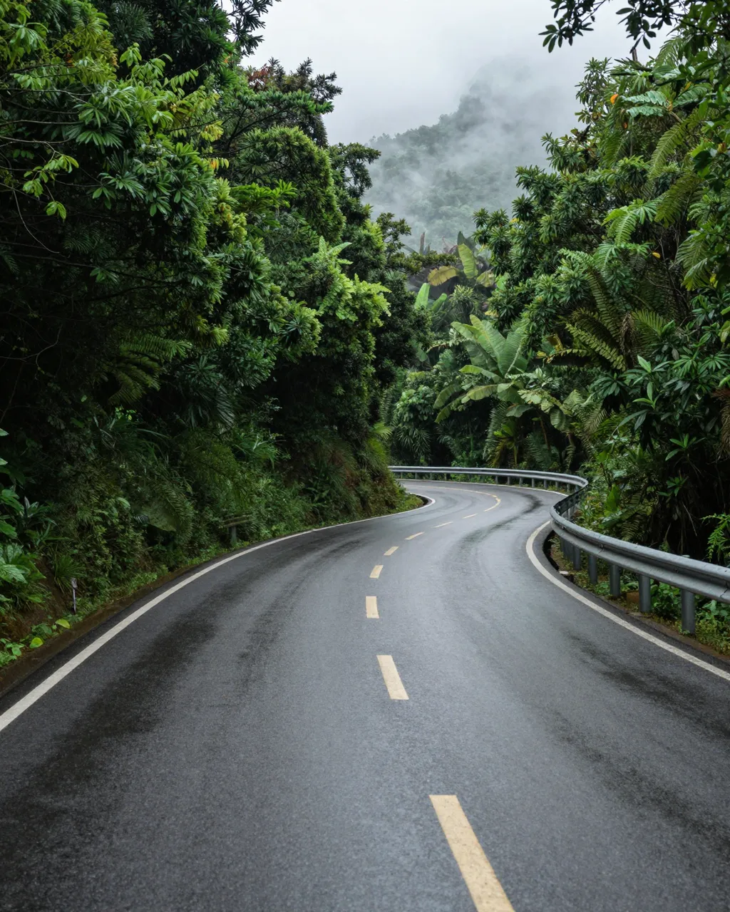 Wet winding asphalt road curves through dense tropical forest beneath misty monsoon clouds
