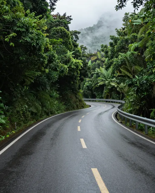 Wet winding asphalt road curves through dense tropical forest beneath misty monsoon clouds