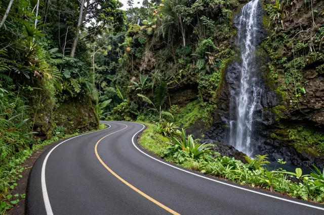 A paved winding road curves through dense tropical rainforest beside a cascading waterfall on a rocky cliff.