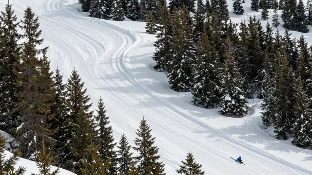 Aerial view of a groomed winding snowy ski run flanked by snow-covered pine trees with a skier descending