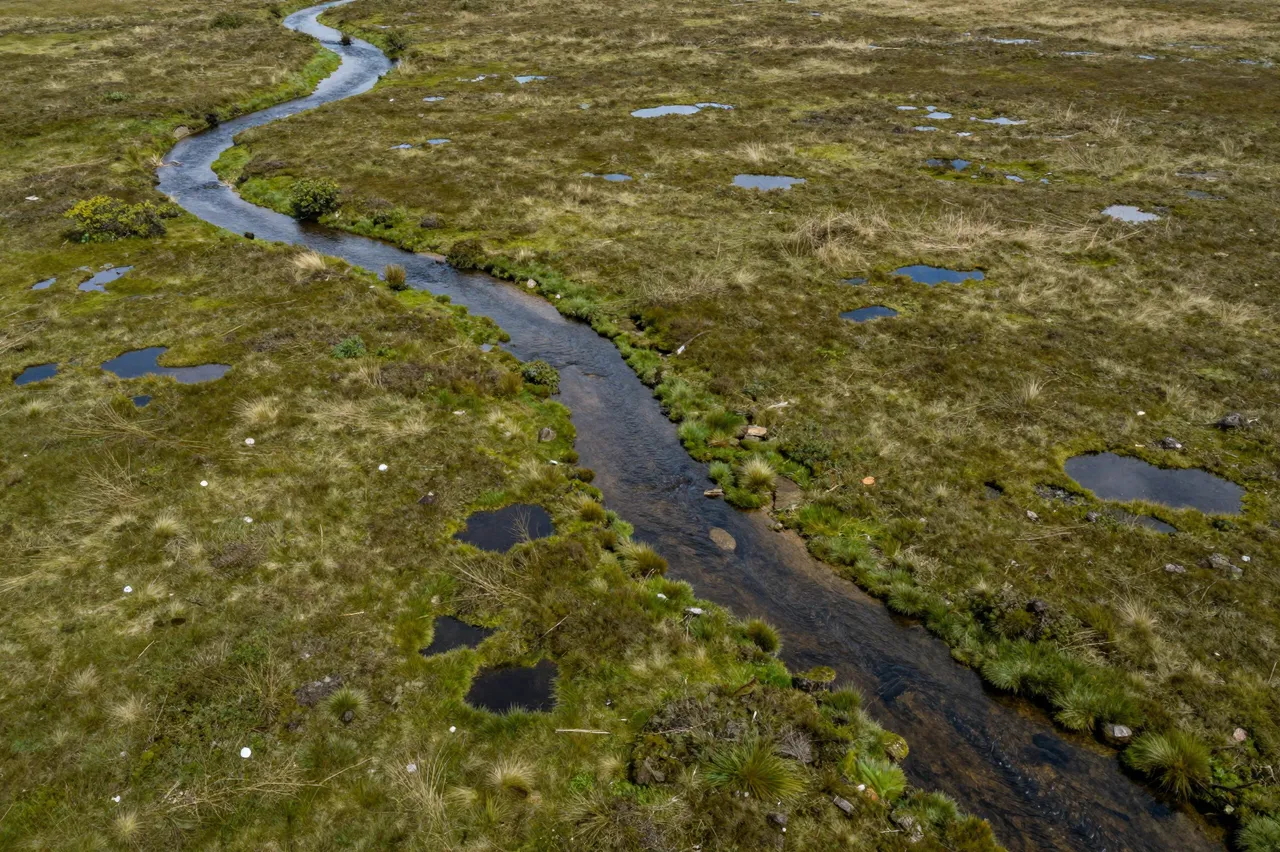 Aerial view of a winding dark stream cutting through a grassy bog dotted with small dark pools