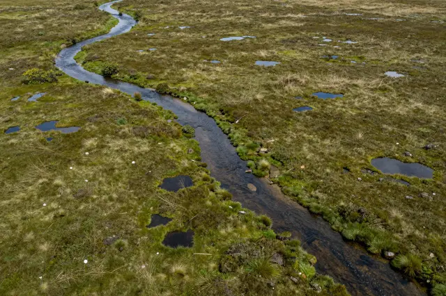 Aerial view of a winding dark stream cutting through a grassy bog dotted with small dark pools