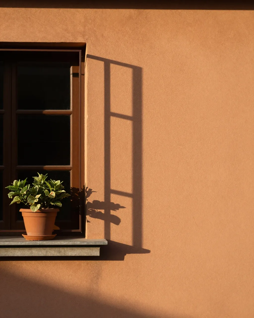 Warm evening sun casts window frame and potted plant shadows across a terracotta plaster wall with empty copy space to the