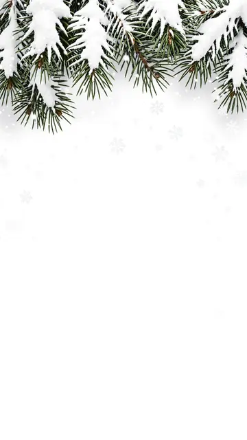 Snow-covered pine boughs line the top edge of a white background with drifting falling snowflakes