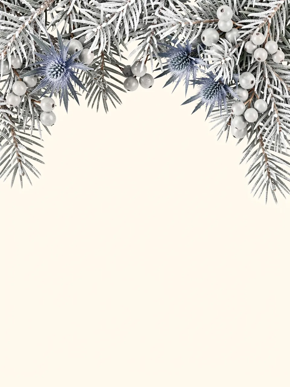 Frosted silver fir, blue thistle and pale berries form a top border above empty cream copy space