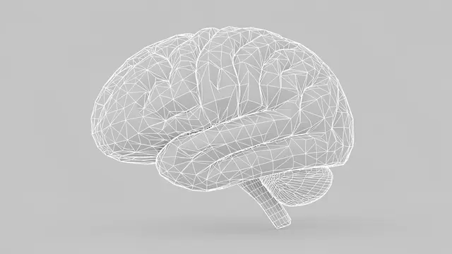 White wireframe model of a human brain displayed against a solid pale gray background