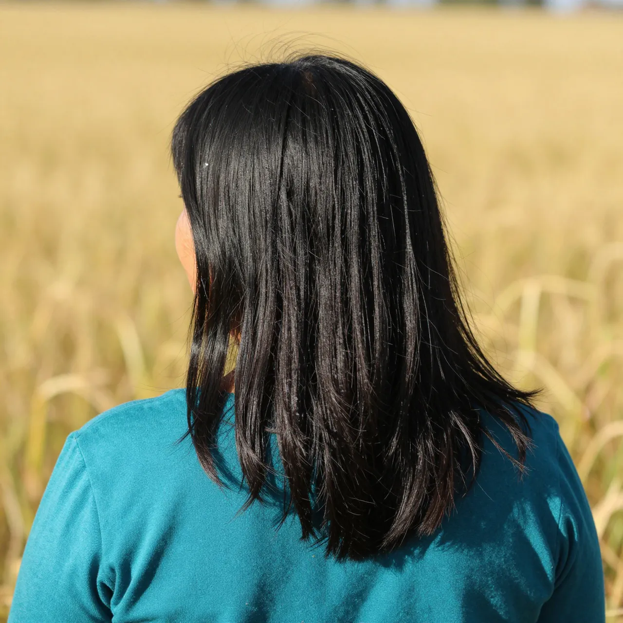 Back view of a woman with straight black hair and teal top standing in a sunlit golden field