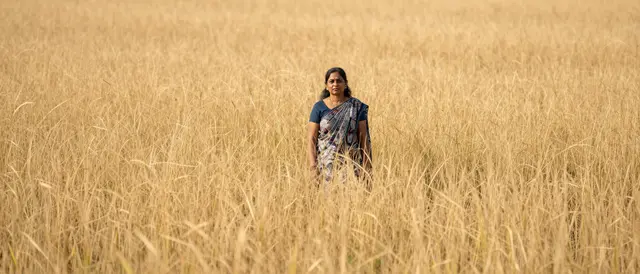 A middle aged South Asian woman stands alone in a vast field of tall golden grass