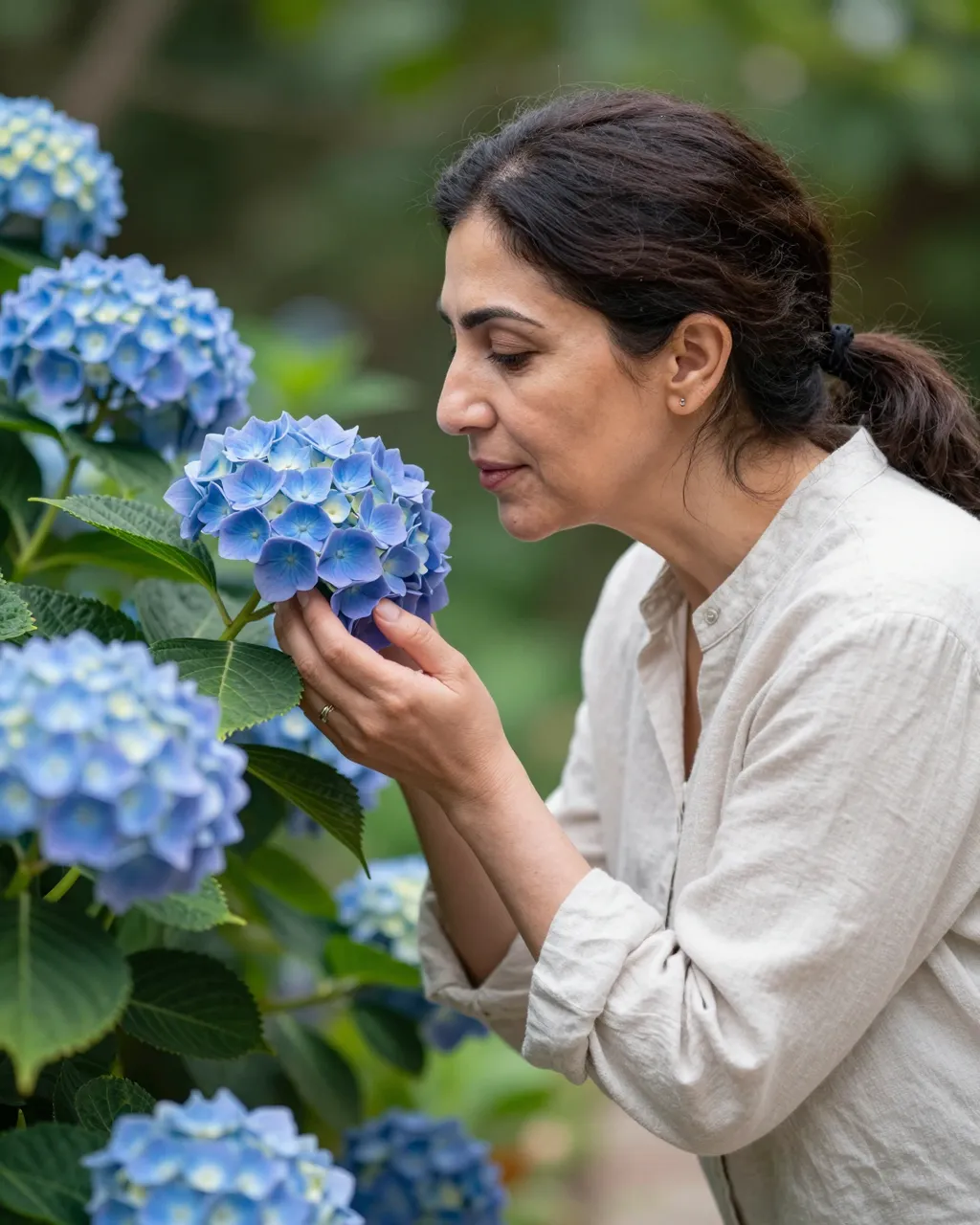 A middle aged woman leans in to smell a blue hydrangea bloom in a sunlit garden