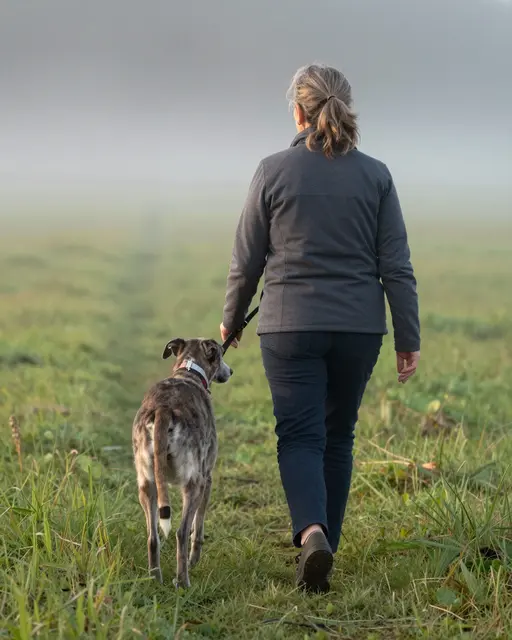 A woman viewed from behind walks a brindle lurcher on a leash through a misty grassy field at dawn