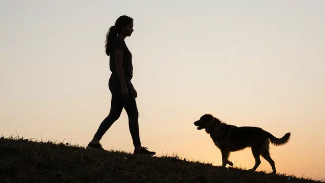 Silhouette of a woman and a dog walking along a grassy hill ridge at golden sunset