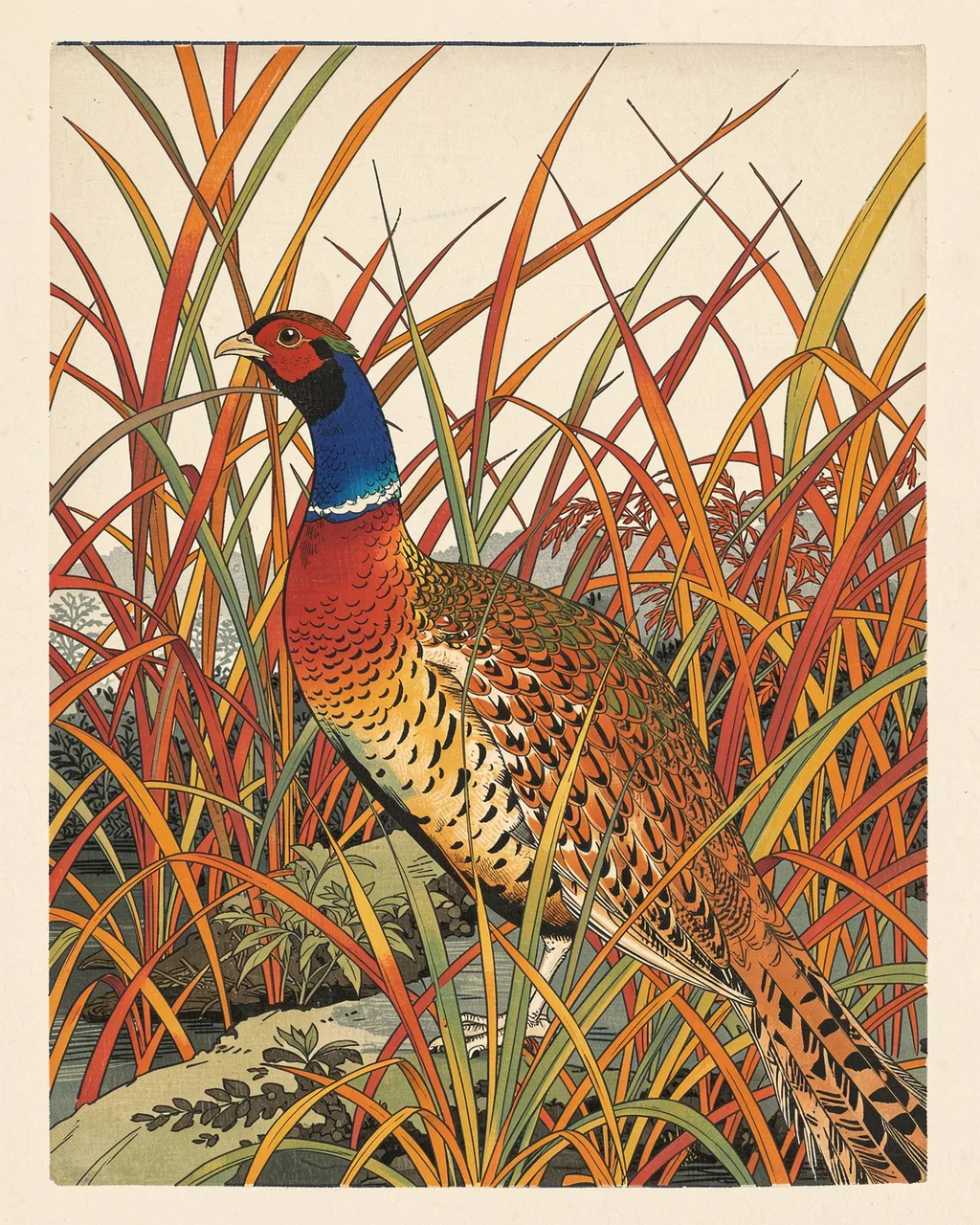 Japanese woodblock print of a colorful pheasant standing among tall colorful autumn grasses