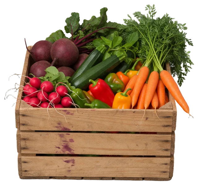 Rustic wooden crate filled with a variety of fresh, whole seasonal farm vegetables.