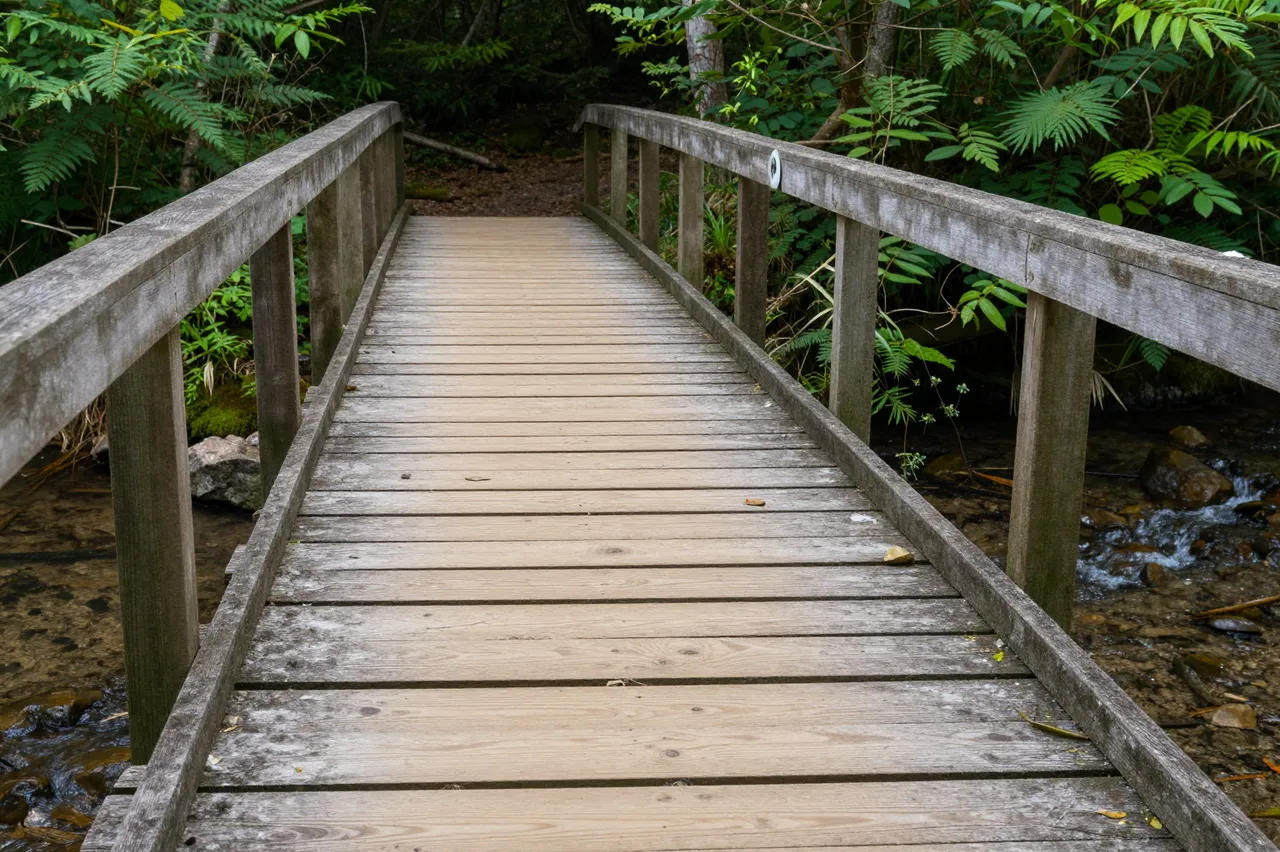 Weathered wooden footbridge crosses a shallow rocky stream into a dense green forest trail
