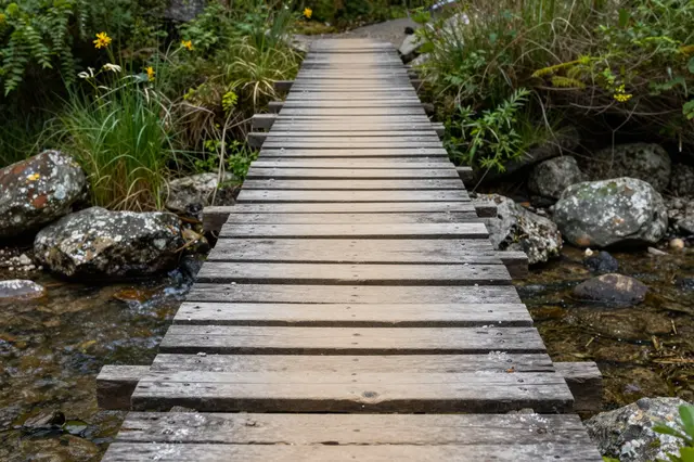 Weathered wooden footbridge spans a shallow rocky creek surrounded by lush summer vegetation