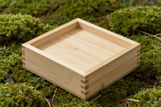 Empty unfinished wooden box rests on a bed of lush green forest moss