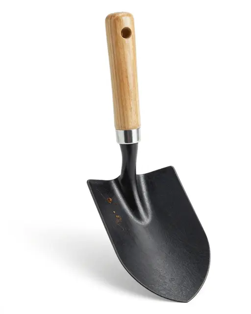 A garden trowel with a wooden ash handle and small soil specks on the blade sits isolated on a plain white background.