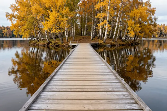 Long wooden jetty extends across still lake water to a small birch tree island in autumn