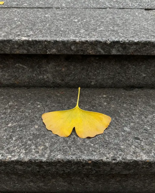 A single yellow ginkgo leaf rests on a rain-dampened dark granite stone step with empty vertical space above it.