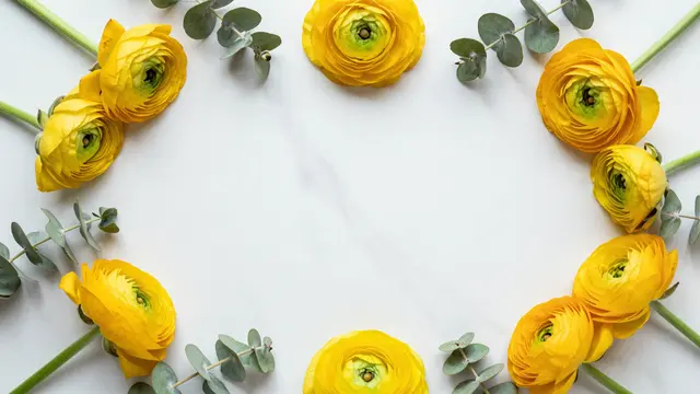 Overhead flat lay of yellow ranunculus flowers and eucalyptus framing an empty white marble surface