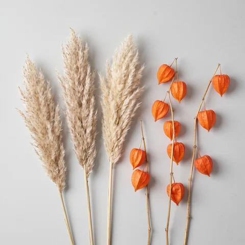 Reference 2: dried pampas grass and orange physalis stems