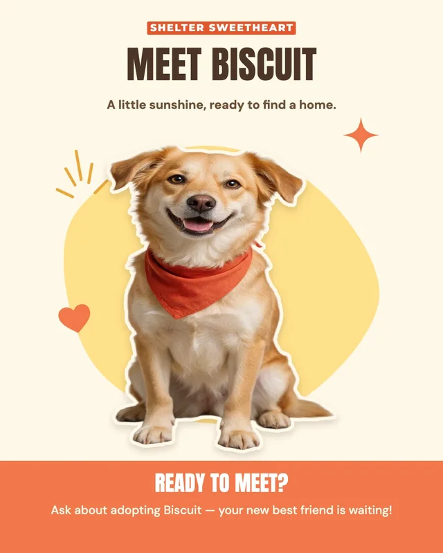 Adoption flyer: MEET BISCUIT, a smiling dog in a red bandana