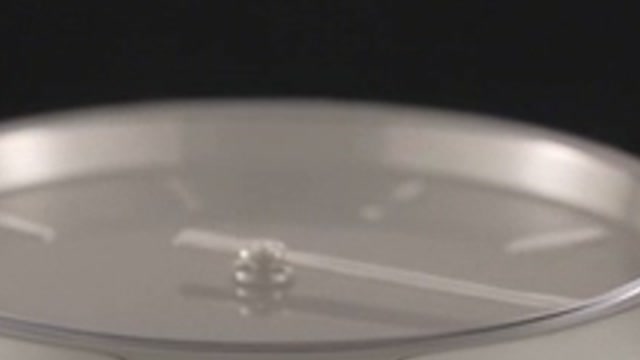 Product shot, 480p source stretched, close-up at full size